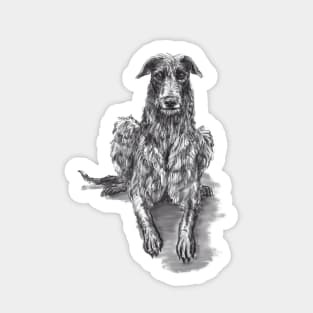 Scottish Deerhound Sticker